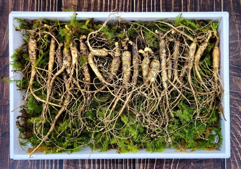 삼선생,삼선생 프리미엄 산양산삼 6-7년근 50g